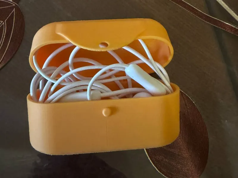 Earpods case