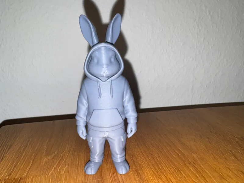 süßer Hase im Hoodie