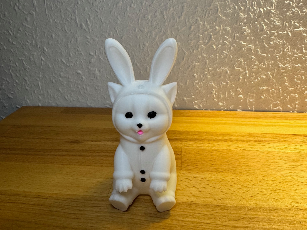 Bunny-Cat: Die Katze im Hasenkostüm