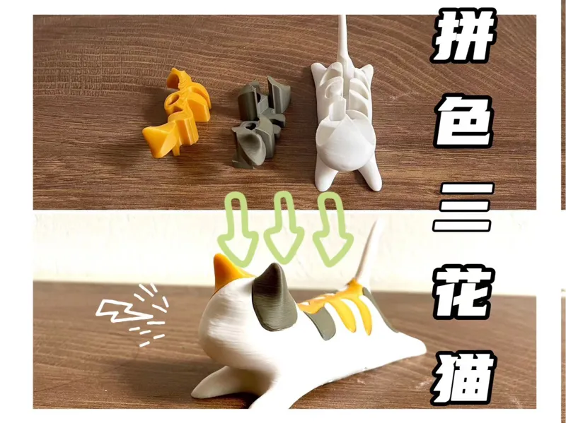 三花猫