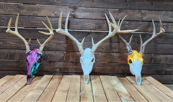 https://makerworld.bblmw.com/makerworld/model/US1672d4fef43c44/design/2024-12-08_0d2fc5e83d647.jpg