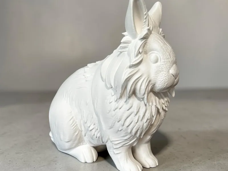 Lion Rabbit
