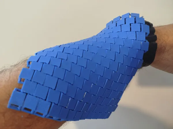 https://makerworld.bblmw.com/makerworld/model/US1676eb35311832/design/2026-01-20_b4255ad9be719.jpeg