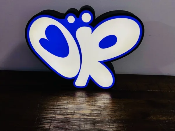 https://makerworld.bblmw.com/makerworld/model/US168544724bd88d/design/2025-03-20_d82b91f78db628.jpeg