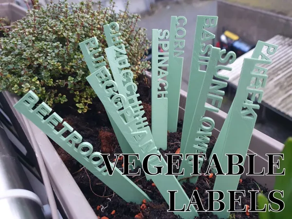 https://makerworld.bblmw.com/makerworld/model/US1688ecb97f8193/design/2024-04-03_45397efd98fcb.jpg