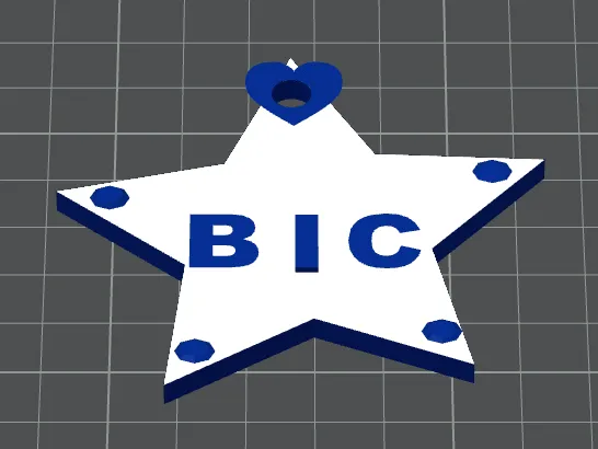 Asher BIC keychain star