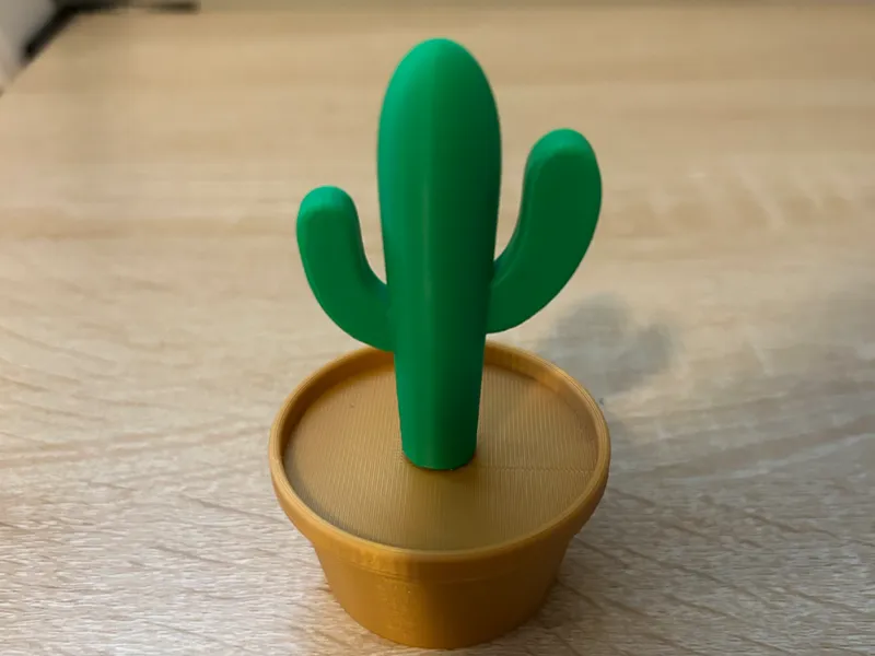 Cute Lil' Cactus