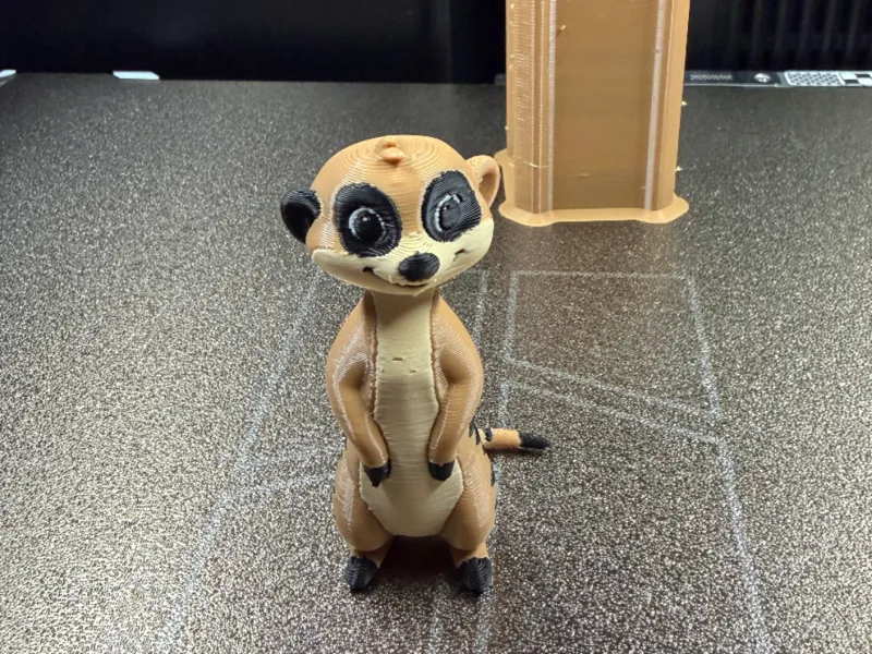 Erdmännchen