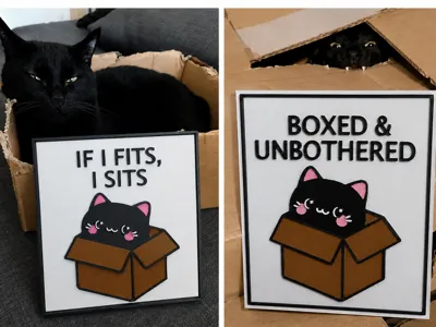 Funny Cat Sign Set – Cat in a Box