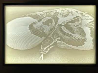 Axanthic Pied Ball Python Lithophane and lightbox