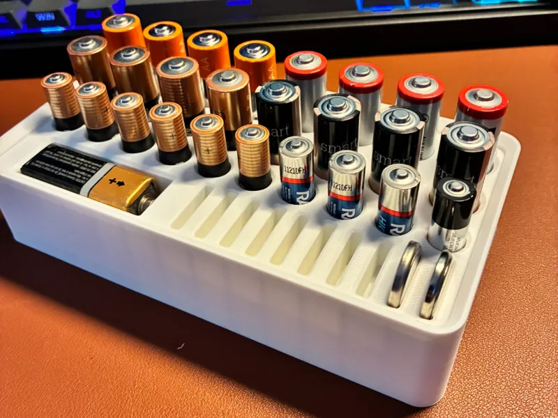 Compact Battery Organizer