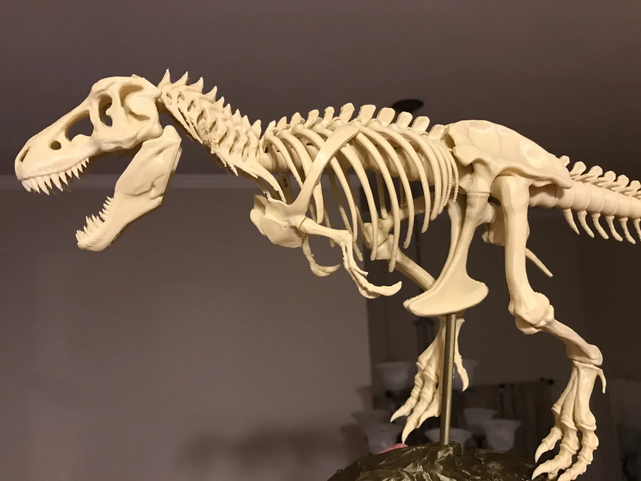mini trex