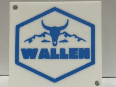 Morgan Wallen Plate/keychain