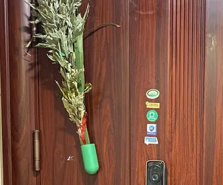 菖蒲门插