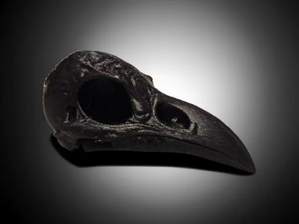 https://makerworld.bblmw.com/makerworld/model/US16a21e5cbe1cff/design/2025-05-06_dd43791c9e0a9.png