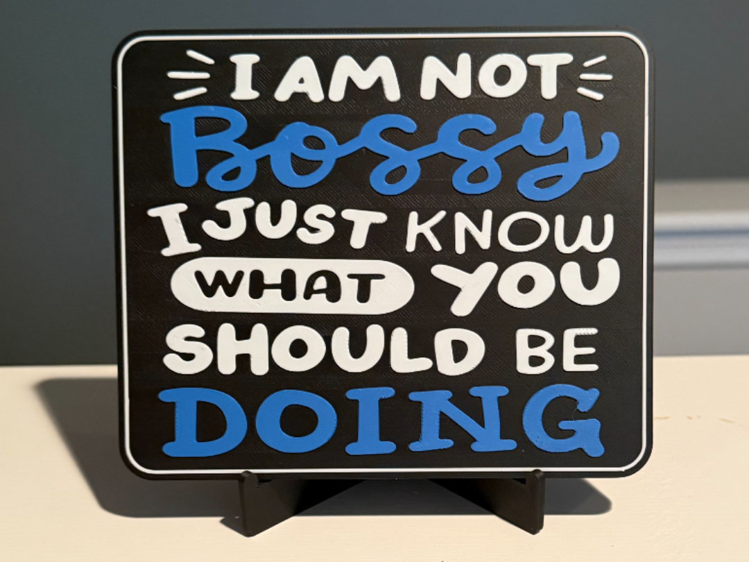 I AM NOT BOSSY. I JUST KNOW WHAT YOU SHOULD BE 