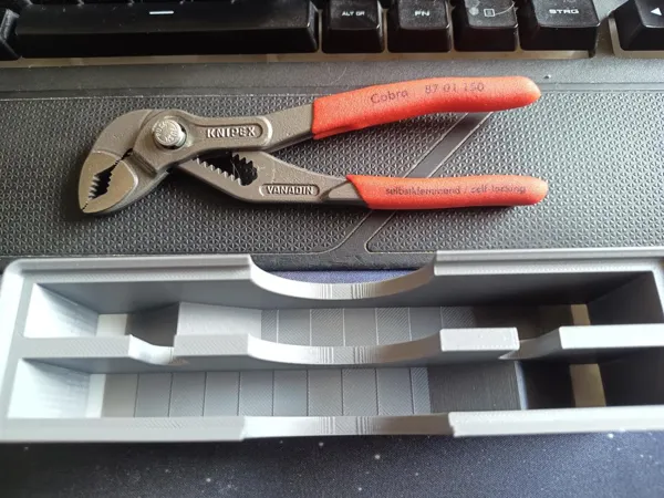 https://makerworld.bblmw.com/makerworld/model/US16a332024e00d/design/2024-09-07_4kk4gcdkn4gt.jpg