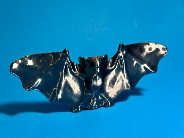 https://makerworld.bblmw.com/makerworld/model/US16a4426f7d7201/design/2025-08-09_04ca652197ebc.jpg