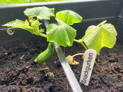Customizable Plant Tag