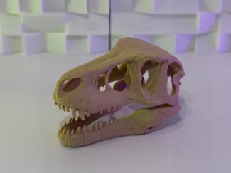 Velociraptor Skull V3 (10-25 Grams)