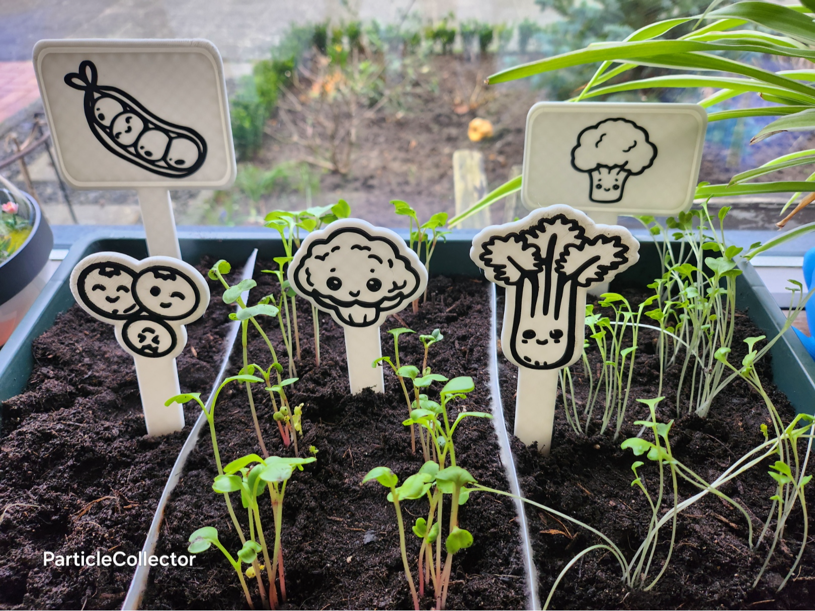 Sprout-Scouts [Vol. 2] | 5 New Garden Buddies!