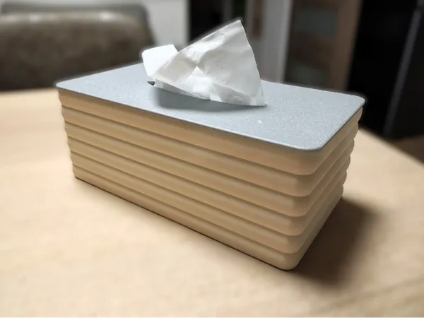 https://makerworld.bblmw.com/makerworld/model/US16bfdbea391648/design/4ae6e507b2e550c2.jpg
