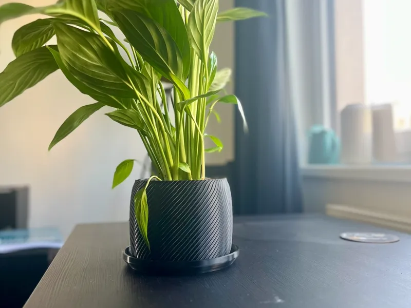 flower pot for a1 printed on a p1s