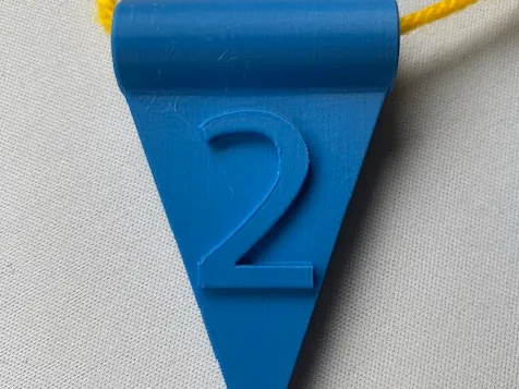 https://makerworld.bblmw.com/makerworld/model/US16c345dbef55b9/design/2025-05-24_7d07d6235f668.jpg