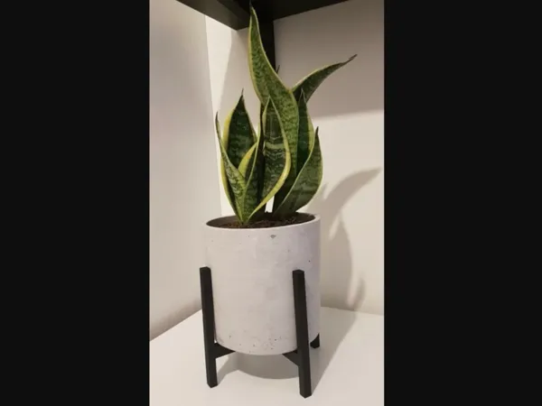 https://makerworld.bblmw.com/makerworld/model/US16c3de90b0b2f1/design/2025-12-03_eb897f6ccb602.png