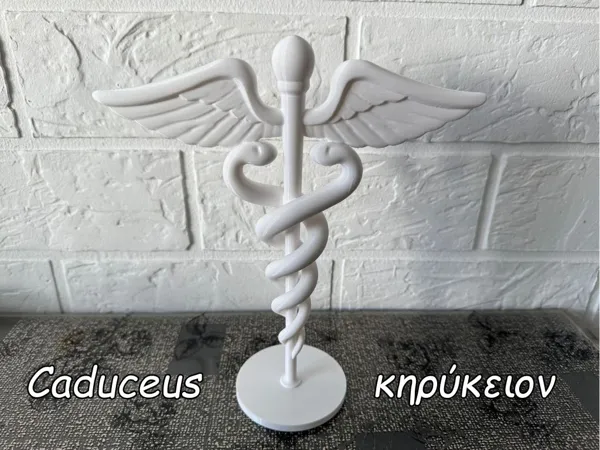https://makerworld.bblmw.com/makerworld/model/US16cfef567f5588/design/2025-09-07_61a9a506e768c.jpg