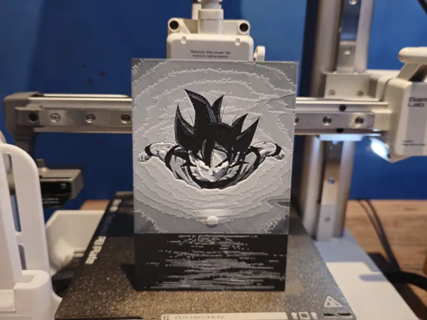 https://makerworld.bblmw.com/makerworld/model/US16d5177ab47436/design/2024-06-28_916139572c5fb.jpg