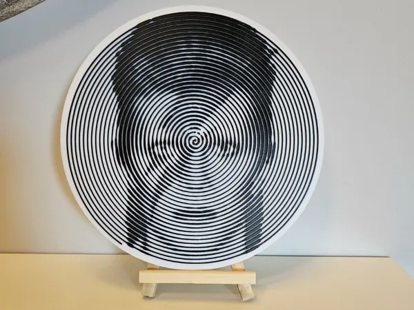 https://makerworld.bblmw.com/makerworld/model/US16d641b29e207/design/2025-03-19_11ed79b00546b.jpg