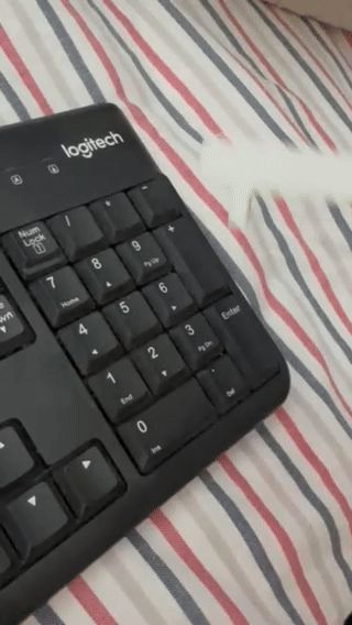 Sanitary Finger 