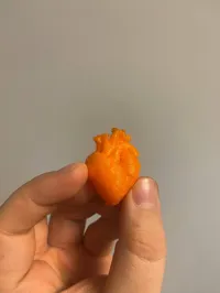 0.2mm layer, 2 walls, 10% infill