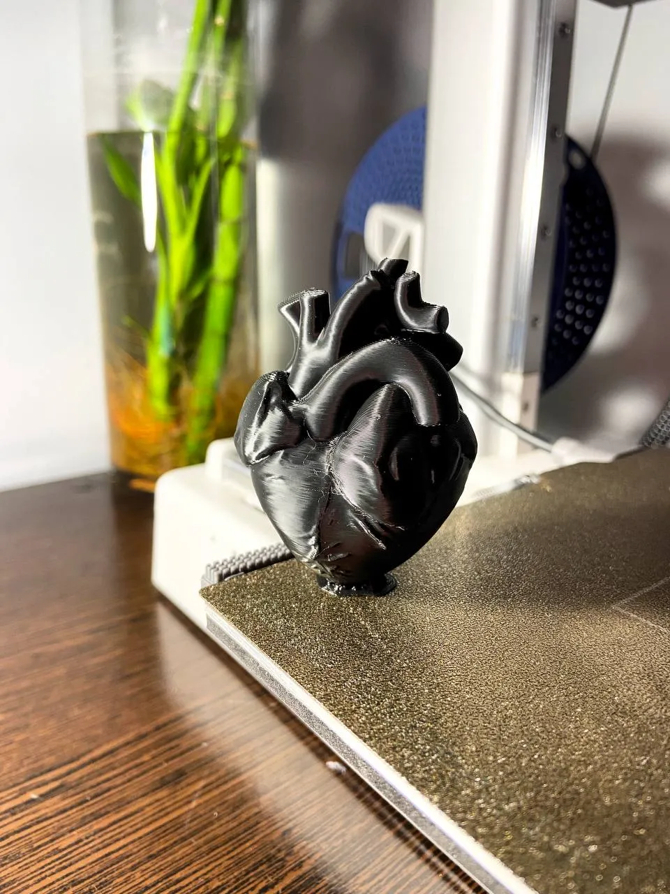 Heart view 3
