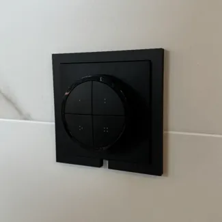 Philips Hue Tap Dial Backplate