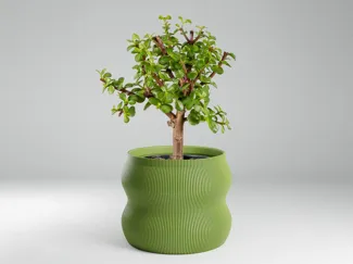 Minimalist Flow Planter