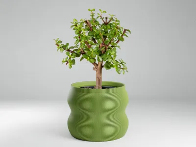 Minimalist Flow Planter