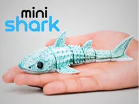 1 Color Single Color