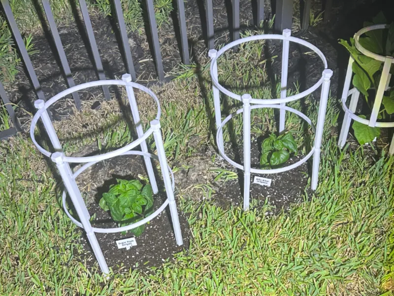 Tomato plant cage modular screw type v2