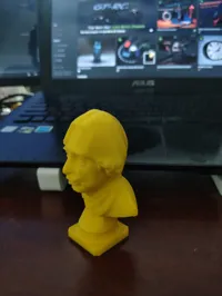 Buste du Dr APJ Abdul Kalam — photo 4