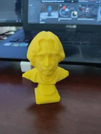 Buste du Dr APJ Abdul Kalam — photo 2