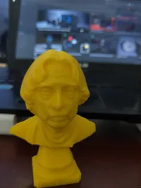 Buste du Dr APJ Abdul Kalam — photo 5