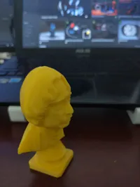 Buste du Dr APJ Abdul Kalam — photo 3