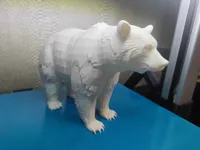 0.2mm layer, 2 walls, 5% infill