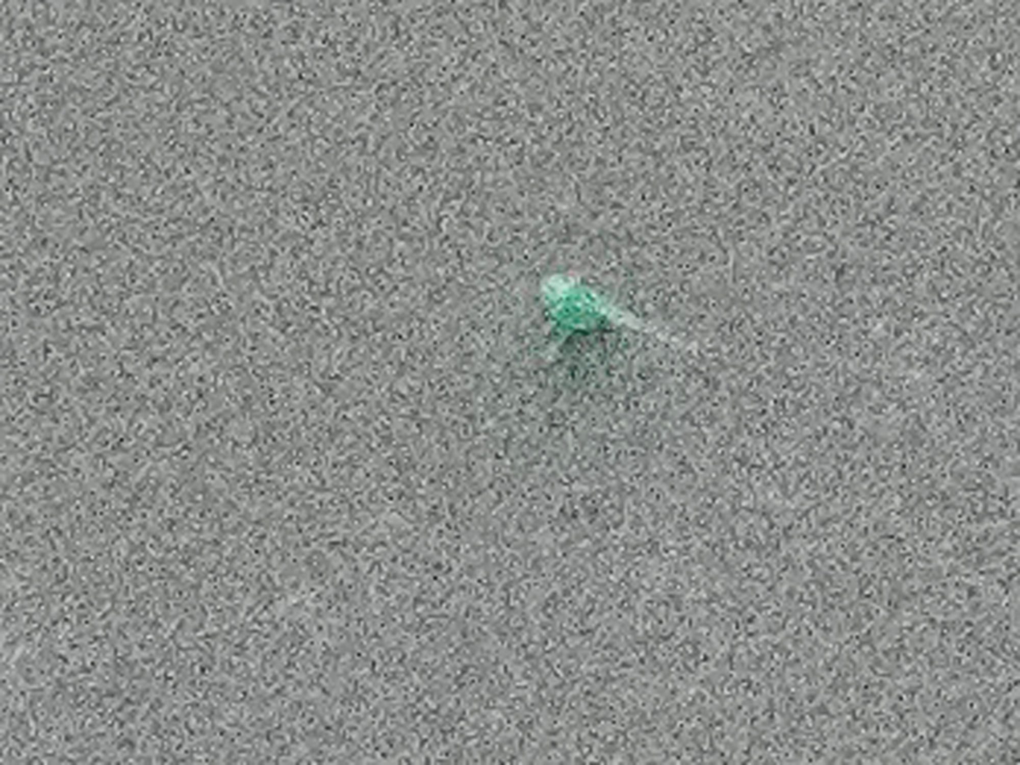 Miniatura 2 do modelo 3D The smallest Print ever