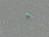 0.2mm nozzle, 0.1mm layer, 4 walls, 15% infill