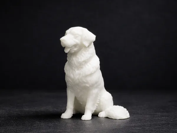 https://makerworld.bblmw.com/makerworld/model/US16f414f917e015/design/edb738bcd091fcd8.png