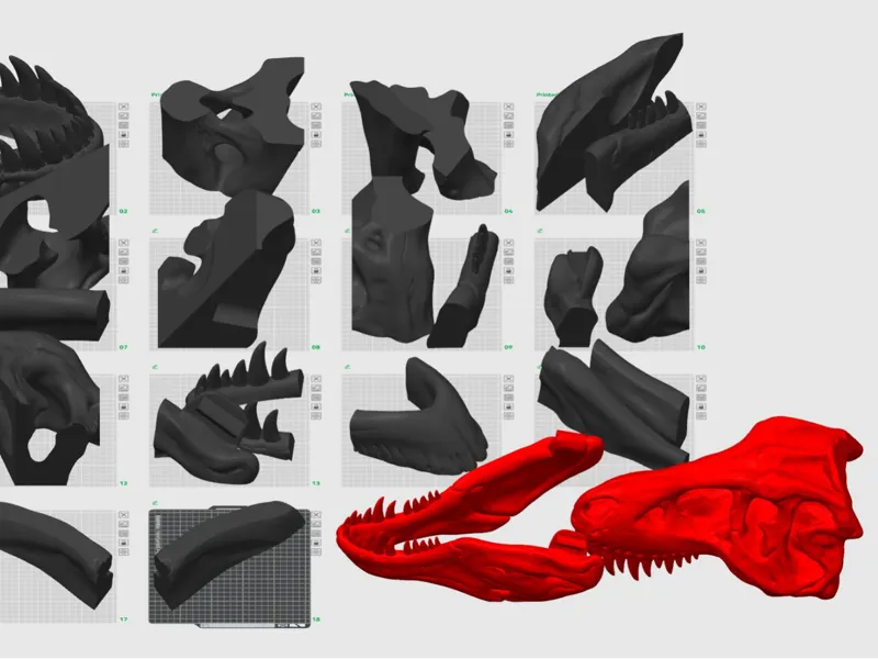 Half Scale T-Rex Skull