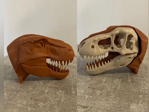 https://makerworld.bblmw.com/makerworld/model/US17017a6f44ab29/design/2025-07-13_2ea47bdc8ec038.jpg
